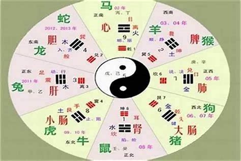 頴五行|铫字的五行属性